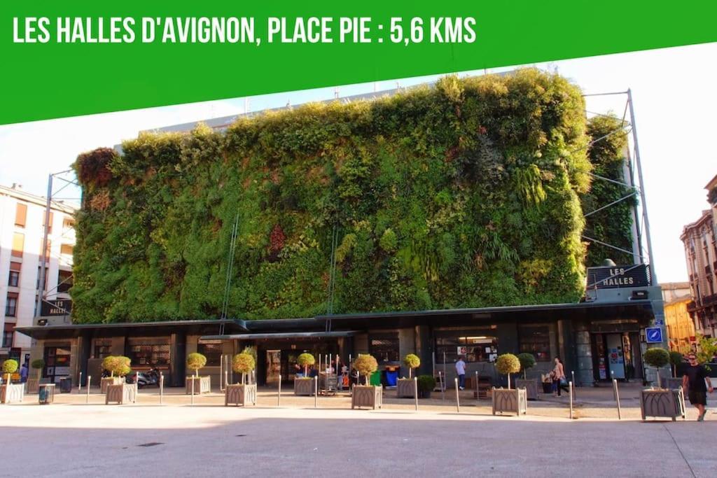 Les Angles Petit Terme - Piscine - Clim - Parkingアパートメント エクステリア 写真